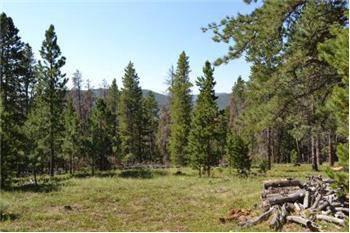 $149,000
3 Sides National Forest in Crystal Mountain