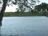$149,000
Oneida, One of the finest locations and lakes in the area