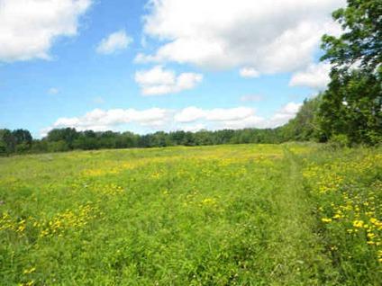 $149,900
25 Acres -- Tillable Farmland -- Woods -- Finger Lakes Region