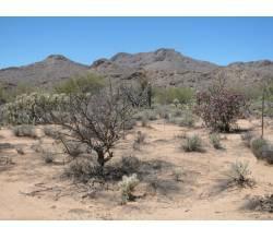 $149,900
Bank Owned 4.13 Acre Lot For Sale in Northwest Tucson at Rusty Iron Trail