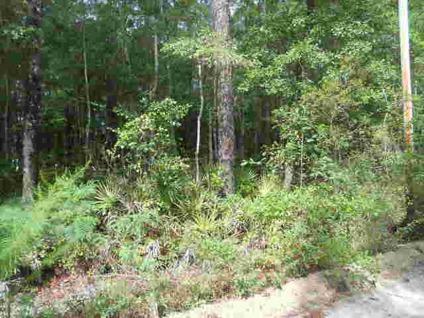 $14,000
Ludowici, Two acres on paved county road. Peaceful country