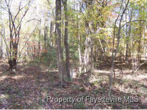 $14,500
Sanford, Nice, level, easy to build on, wooded lot with pool