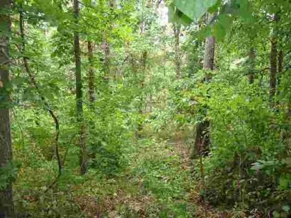 $14,900
Just two miles to Cabool. Nice laying 4 acres to build your new home on.