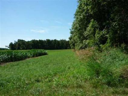 $156,000
Rensselaer, 24 +/- scenic acres. Two wooded areas and