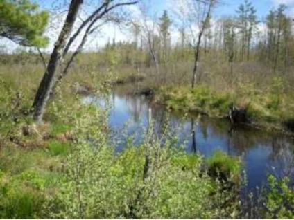 $159,000
Alton, 21.81 acres of private, level, land in offering house