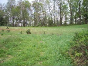 $159,000
Telford, Your own country Paradise! 20 Acres that has it