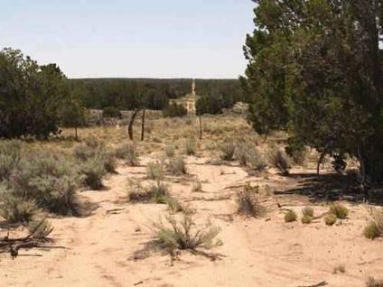 $15,000
10 Acres High Rim Country- Terrific Views and Sunsets