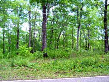$15,000
11244- Great Lot with Easy Access!