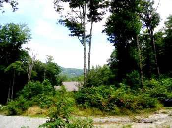 $15,000
12286- 1.064 Acre Wooded View Lot with Clearing