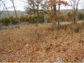 $15,000
Cleared Lakefront Lot and ready to build in a secluded area for privacy on Paved
