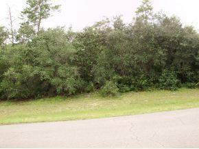 $15,000
Ocala, VERY NICE WOODED LOT. EASY BUILD & CLOSE TO SHOPPING