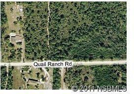 $15,500
New Smyrna Beach, 2.5 acre homesite in rural area with