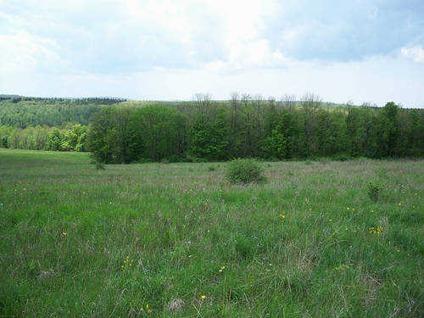 $15,900
5 Acres -- Surrounded by State Forest -- Meadow and Woods