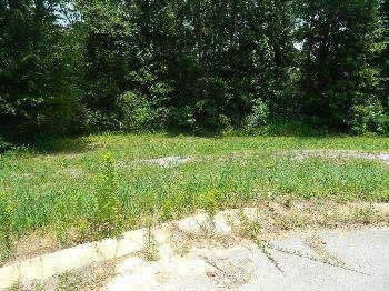 $15,900
Sumrall, Lot 6 - Pretty residential lot in city limits -