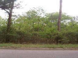 $15,900
Very buildable double lot. DOUBLE LOT HAS ALREAY BEEN CONSOLIDATED!!