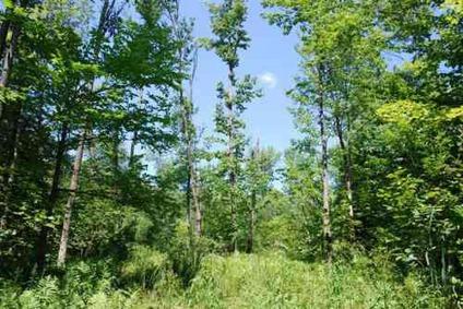 $15,995
Great Family Camp Spot w/ Lake Rights - 2 Acres