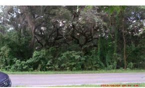 $162,500
Summerfield, ONE OF ONLY A FEW REMAINING 10-15 ACRE PARCELS.