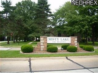 16385 Heather Lane #3 Middleburg Heights, OH 44130
