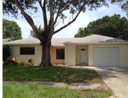 $165,000
Palm Harbor 3BR, Cute remodeled 3/2/1 home