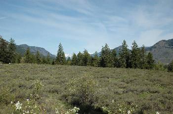 $165,000
Winthrop, WOLF CREEK RANCH - a special group of parcels