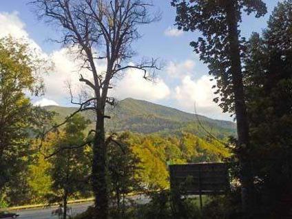 $168,000
.77-acre lot great for private home site or business minutes from Blue Ridge