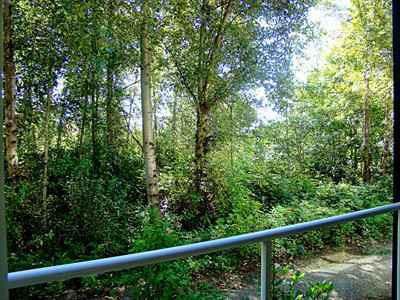 $168,000
Gorgeous Protected Greenbelt