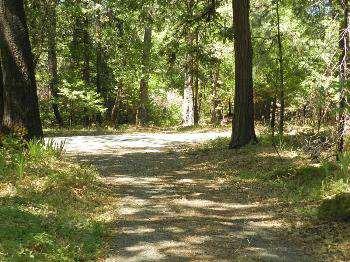 $169,000
Nevada City 3BR, Breathtaking level 5 acre parcel in with