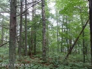 $169,000
Park Rapids, This lake lot that is a must see to appreciate