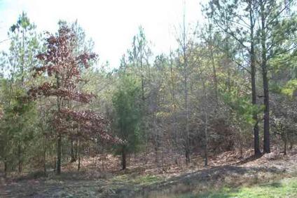$16,695
Leesville, 7.46 ACRES, UNRESTRICTED, MAY SUBDIVIDE.
