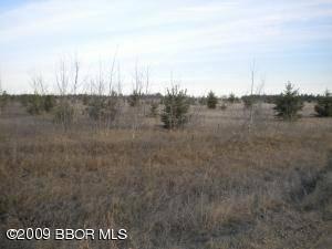 $16,900
Bemidji, Don't miss out on these wooded building lots only