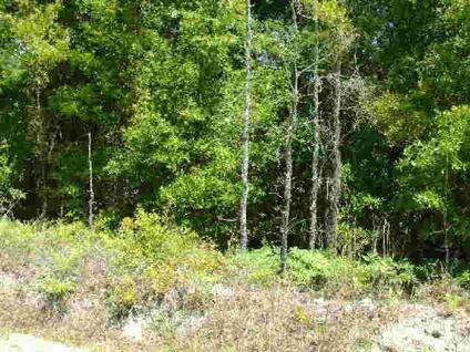 $16,900
Lake City, Nice, pretty, wooded 5 acres located just in