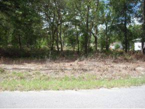 $16,995
Treed lot in growing area, paved streets, in area of nice homes