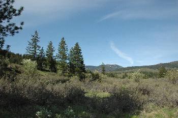 $172,000
Winthrop, WOLF CREEK RANCH - a special group of parcels