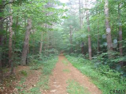 $175,000
Corinth, 170 acre wooded parcel located on County Rt 10 just