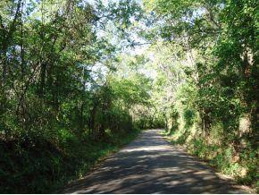 $175,000
Cushing, Great 44 + acre tract of land with lots of frontage