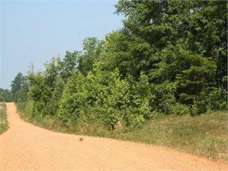 $176,000
80.000000 acres of land for sale in Georgiana, Alabama, United States