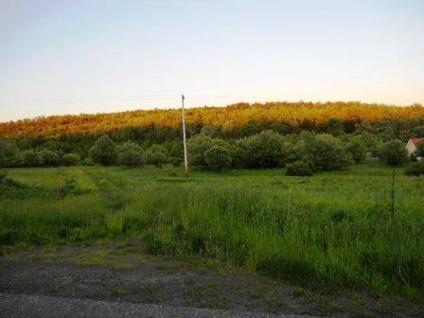 $17,000
Worcester, Fantastic parcel in a peaceful country setting.