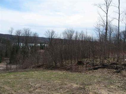 $17,500
Elmira, Gently sloping hillside with views of Huffman Lake -