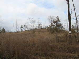 $17,900
Dardanelle, 7 Acres with a view with rural water