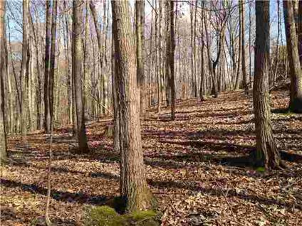 $17,971
Goodlettsville, TREED VACANT LOT AT GREAT PRICE - PROPERTY