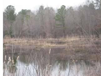 $180,000
58.7600 acres of land for sale in Springhill, Louisiana, United States