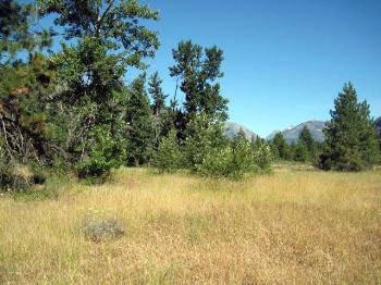 $180,000
Mazama, Smack in the middle of the eastern flank of the