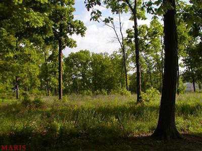 $180,000
Wright City, City water and Sewer available on this 33 acres