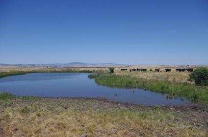 $185,000
Range & Pasture Land on the Camas Prairie