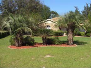 $189,000
Residential, Contemporary,Ranch - Inverness, FL