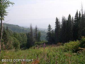 $189,500
Homer, Build you Alaska dream home on this secluded lot that