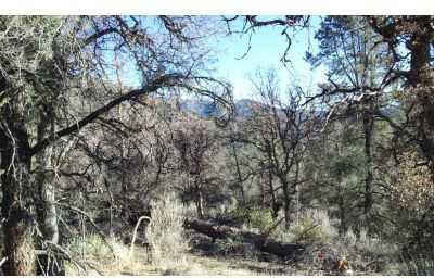 $18,000
Remote VL 4.82 Acres Thompson Cyn Area-Caliente 5000 ft elevation