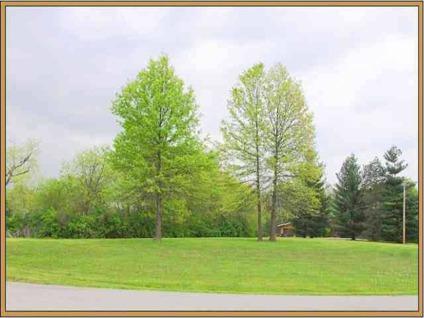 $18,500
Beautiful building lot on the east side of La Plata, MO. with mature trees