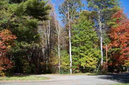 $18,500
Butler, CLOSE TO LAKE, NATIONAL FOREST, HAS ELECTRIC & WATER