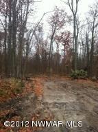 $18,900
Bemidji, Beautifully wooded 2.3 acres with no covenants